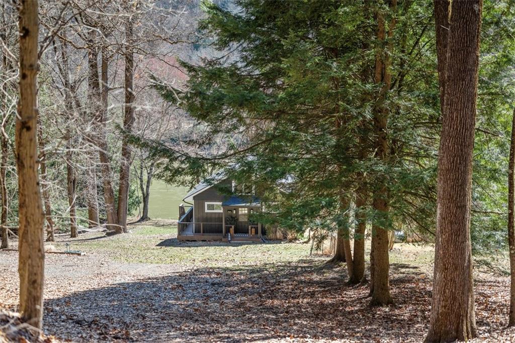 192 Mountain Laurel Road Emlenton, PA 16373 - Photo 7 of 50 A tree lined driveway leads to the house and offers plenty of parking for guests.