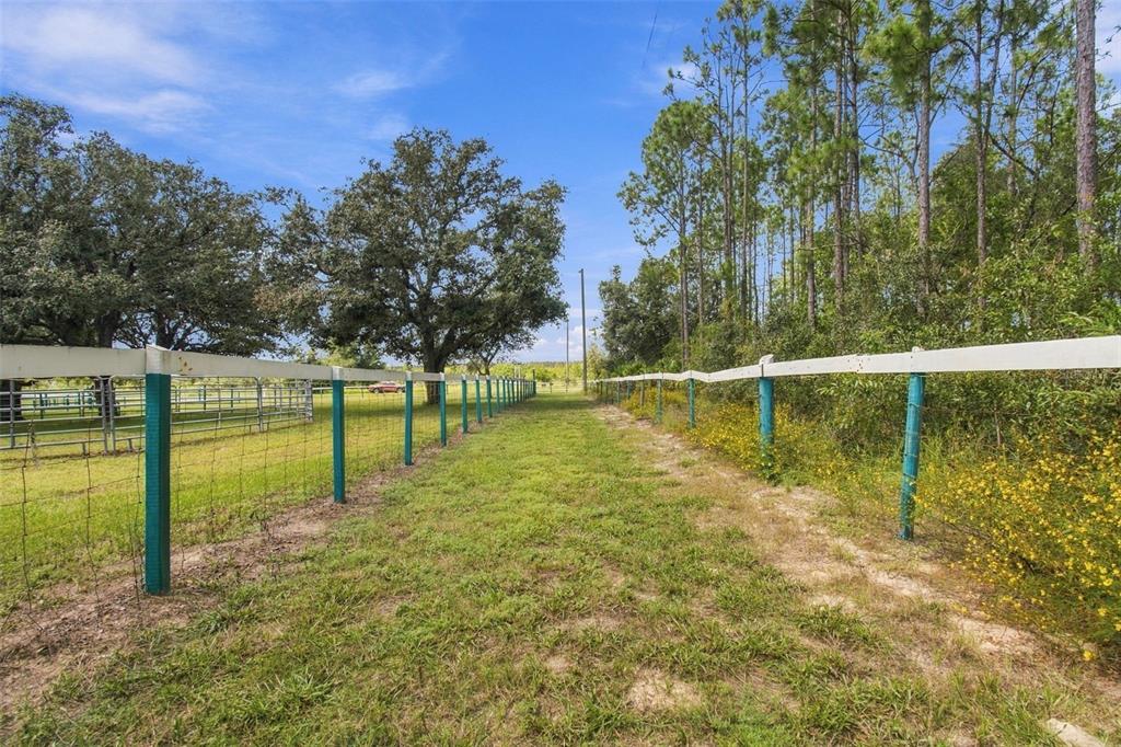 15700 Matis Road Hudson, FL 34669 - Photo 62 of 77 Gallery Image 62