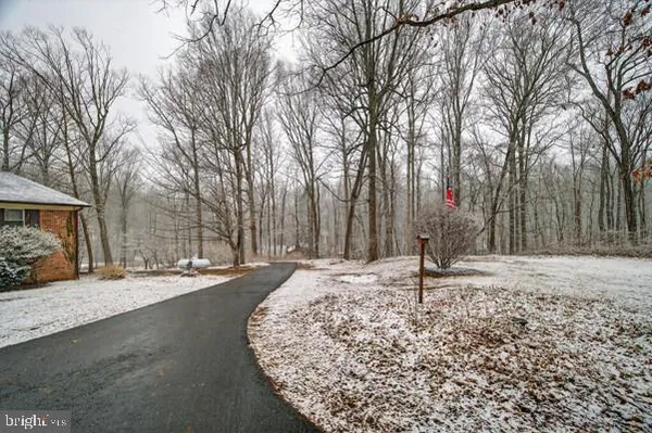 a view of a backyard and trees