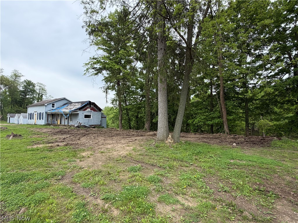 9098 Diagonal Road Streetsboro, OH 44241 - Photo 13 of 25 Expansive lot featuring mature trees and a wooded backdrop