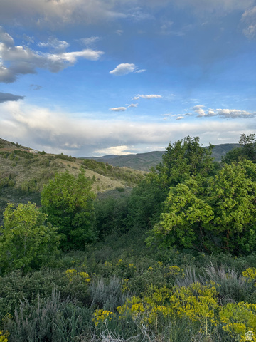 73 North River View Road, Unit 73 Huntsville, UT 84317 - Photo 9 of 21 Expansive natural landscape featuring lush green foliage and distant rolling hills