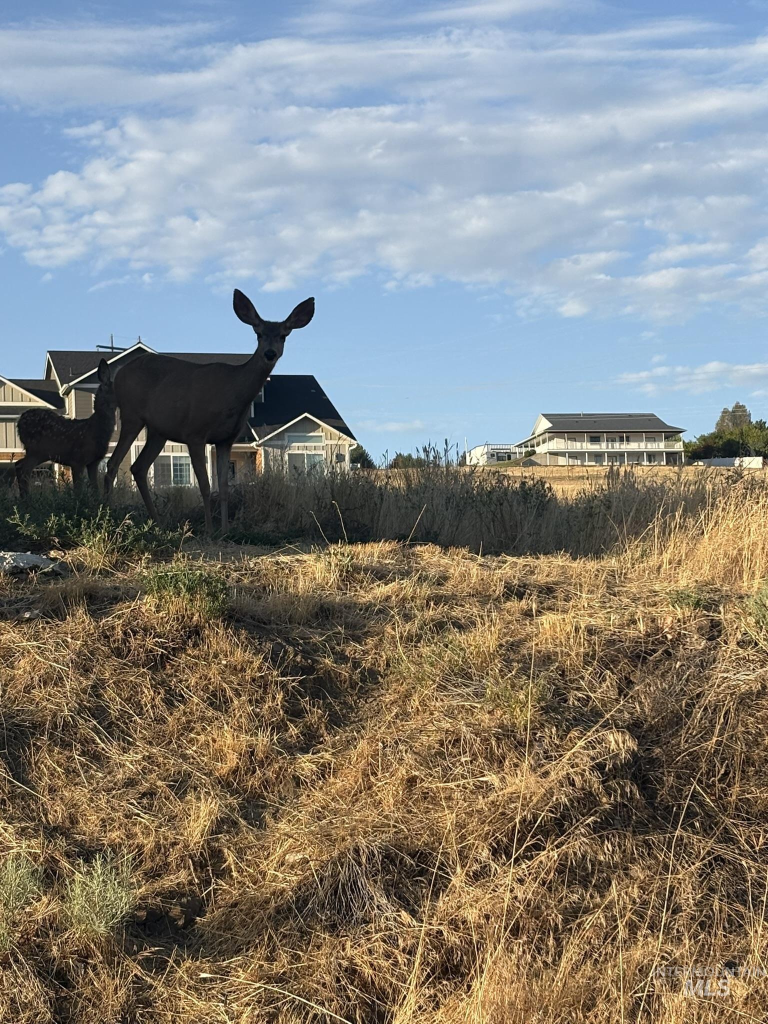 2600 Dove Road Clarkston, WA 99403 - Photo 2 of 9 View of yard