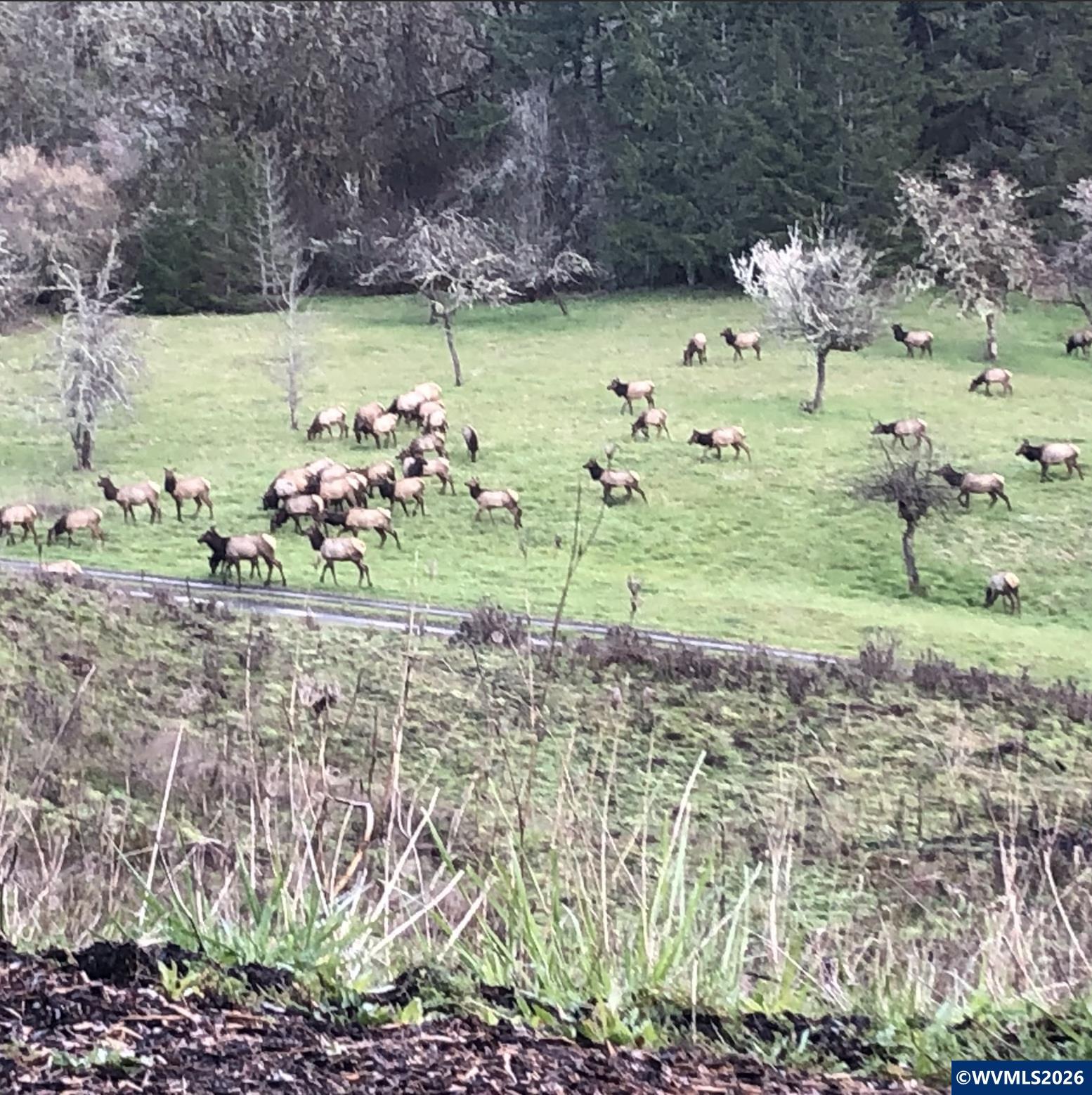 18101 Willamina Creek Road Willamina, OR 97396 - Photo 45 of 47
