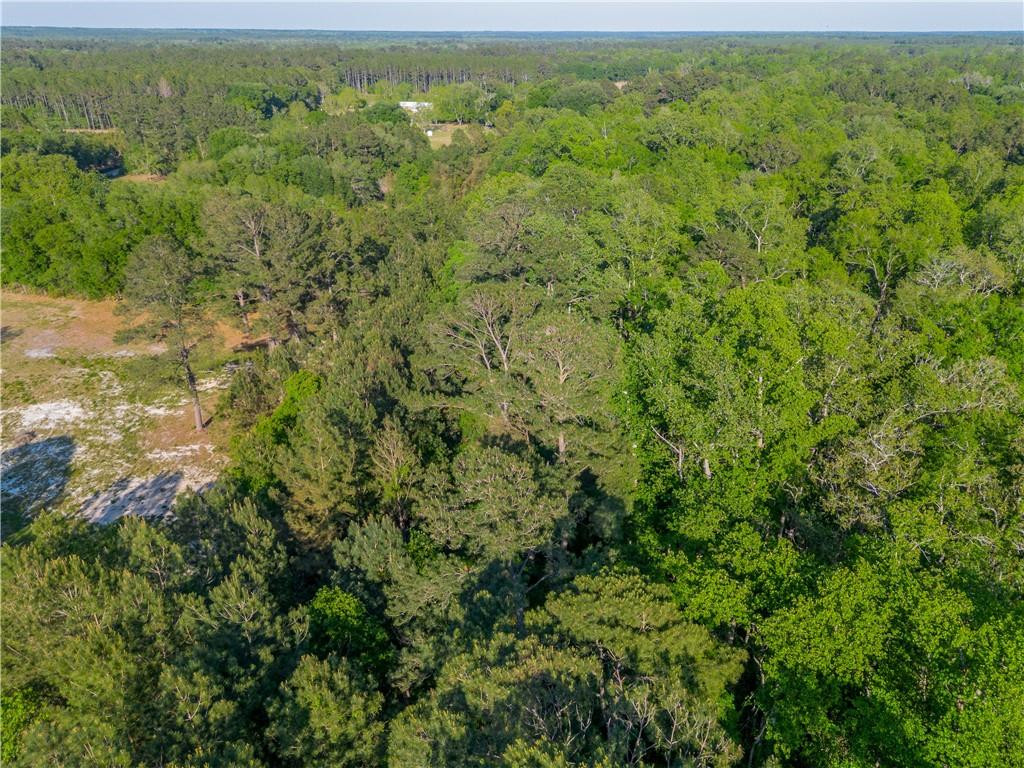 264 Williams Loop Waycross, GA 31503 - Photo 30 of 33