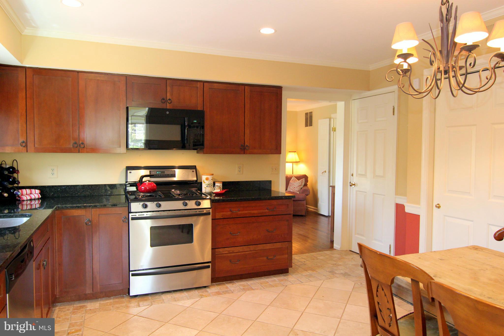 1010 Riva Ridge Drive Great Falls, VA 22066 - Photo 7 of 20 Gourmet Kitchen w/SS Appliances