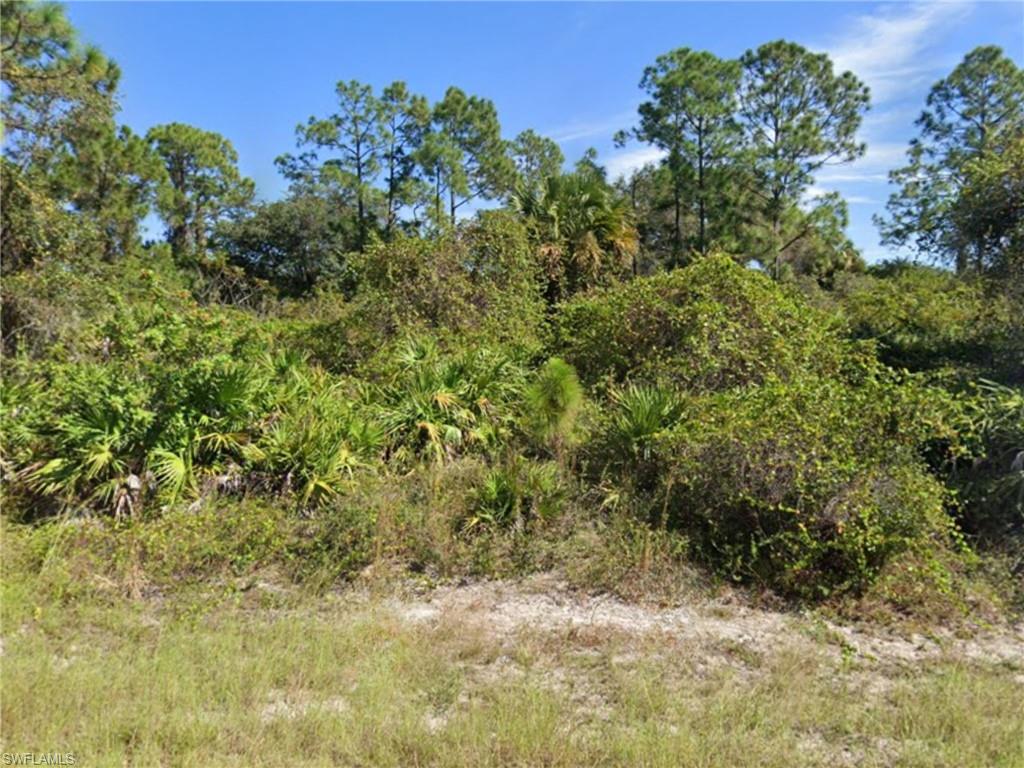 2604 Fitch Avenue Alva, FL 33920 - Photo 2 of 3 a view of a yard with a tree