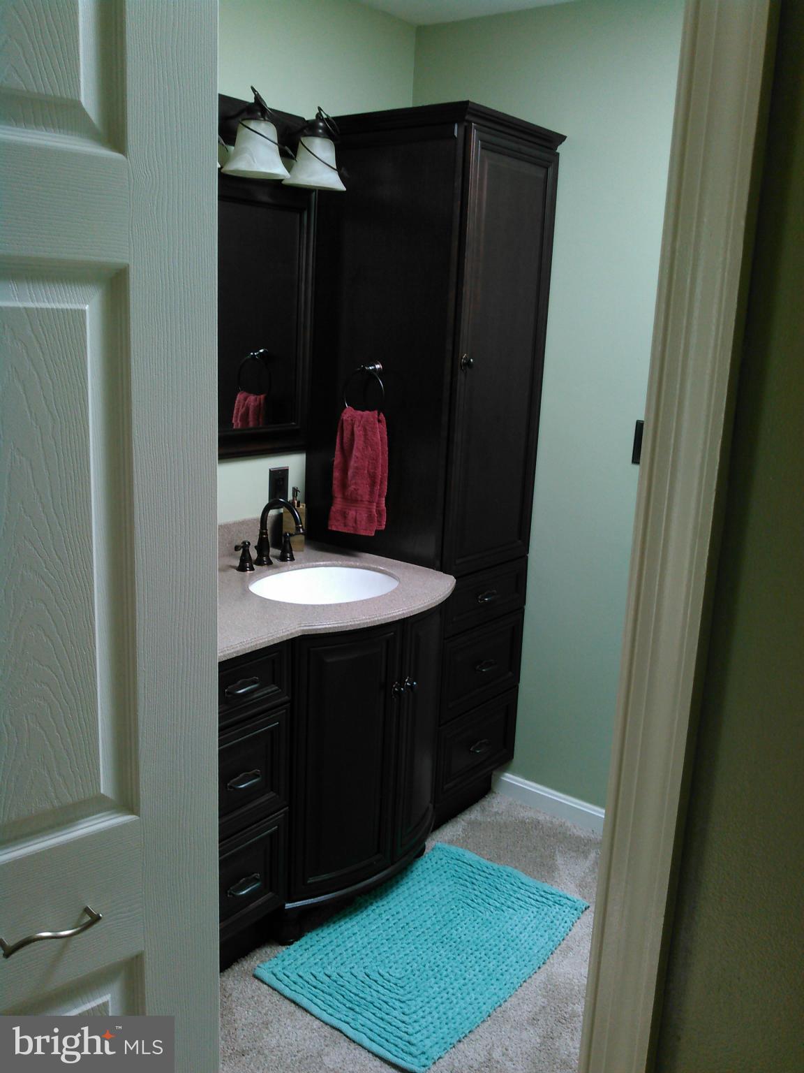 321 Salisbury Road Edgewater, MD 21037 - Photo 25 of 27 Bath (Master)