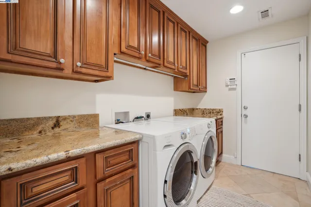 a view of a backyard with plants and large tree