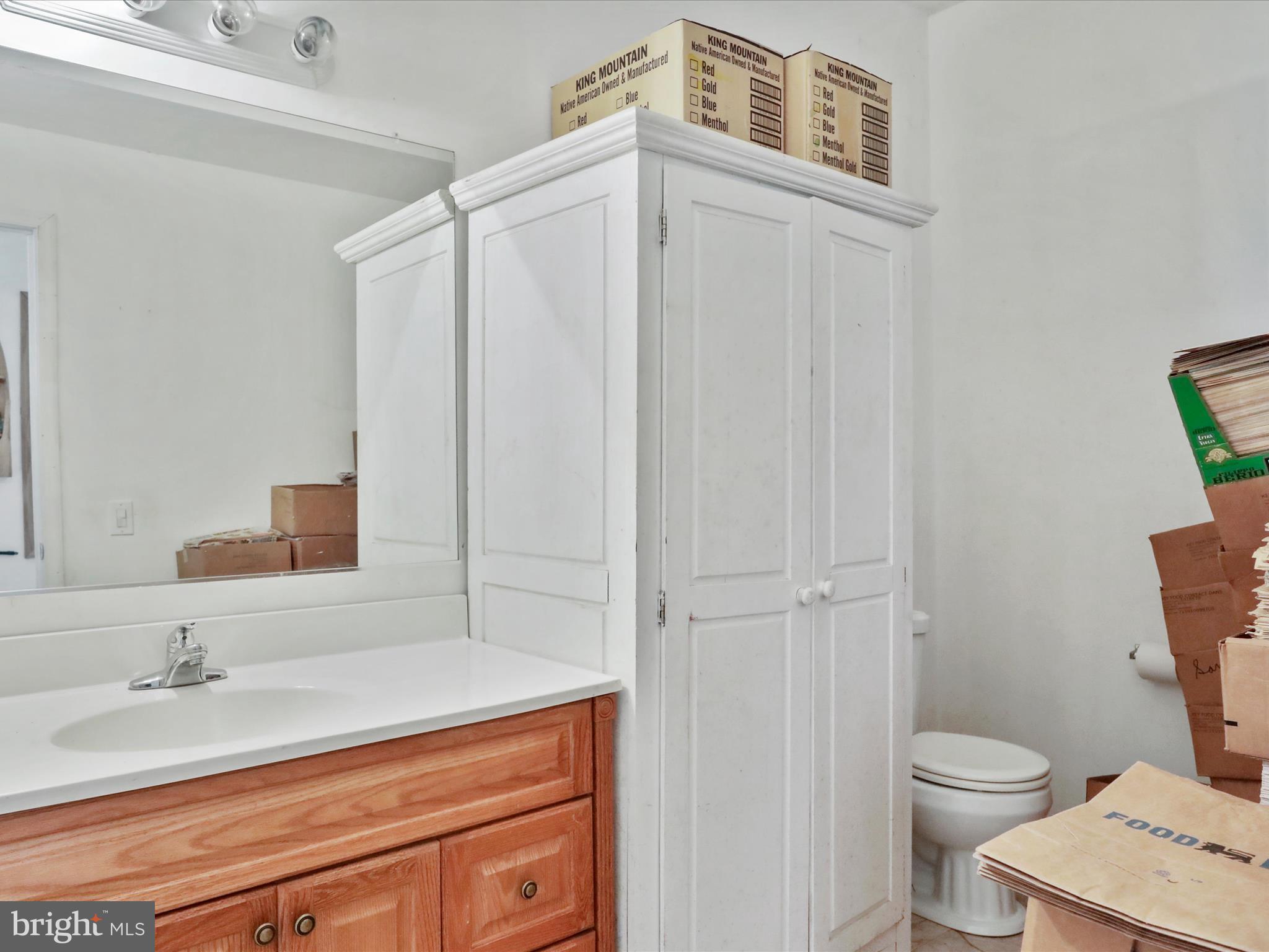 525 Rolling Rock Road Star Tannery, VA 22654 - Photo 14 of 69 a bathroom with a granite countertop sink vanity mirror and toilet