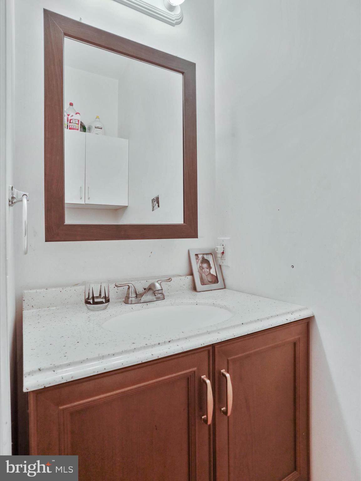 525 Rolling Rock Road Star Tannery, VA 22654 - Photo 27 of 69 a bathroom with a sink and a mirror