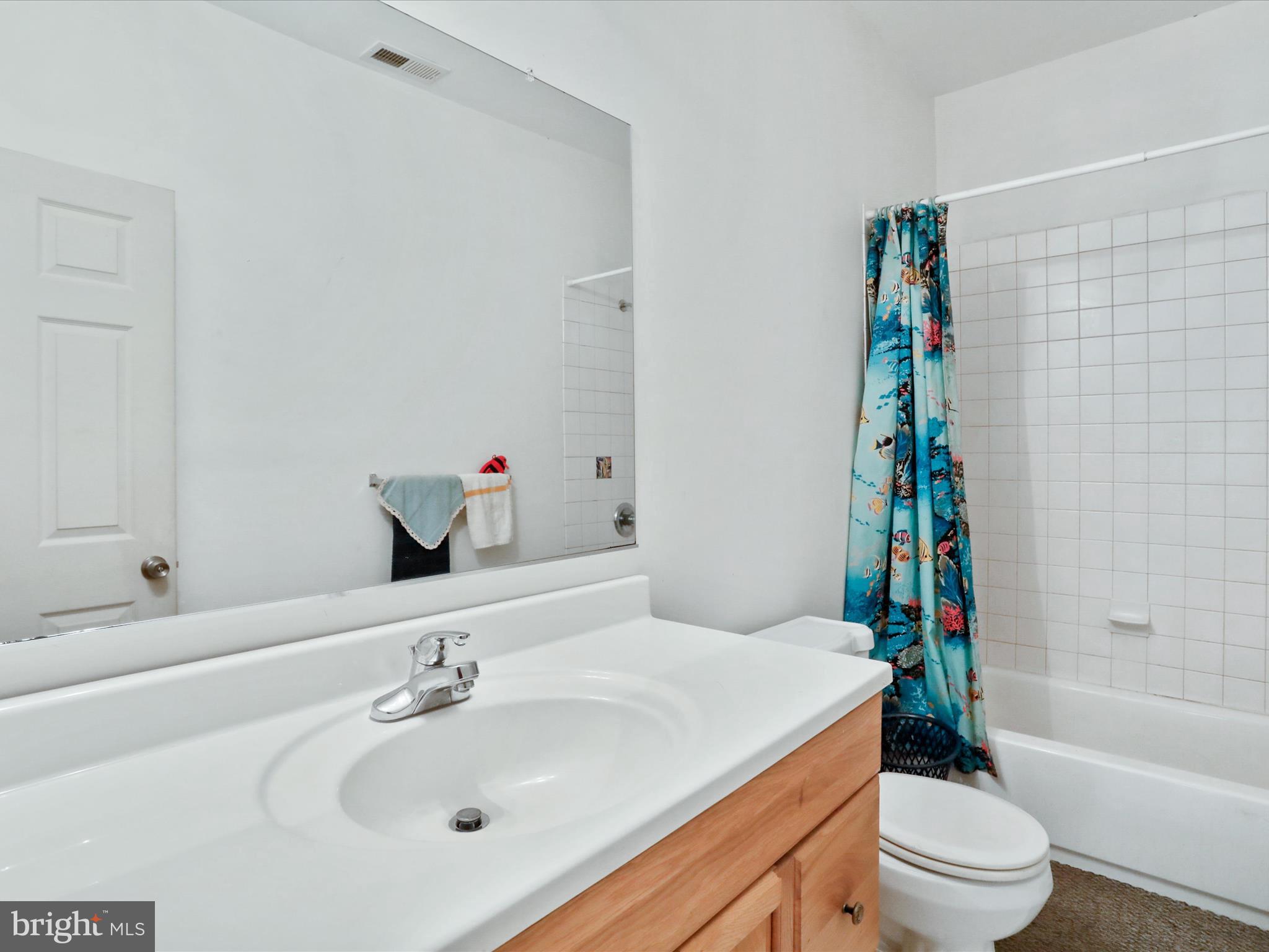 525 Rolling Rock Road Star Tannery, VA 22654 - Photo 37 of 69 a bathroom with a sink toilet and shower