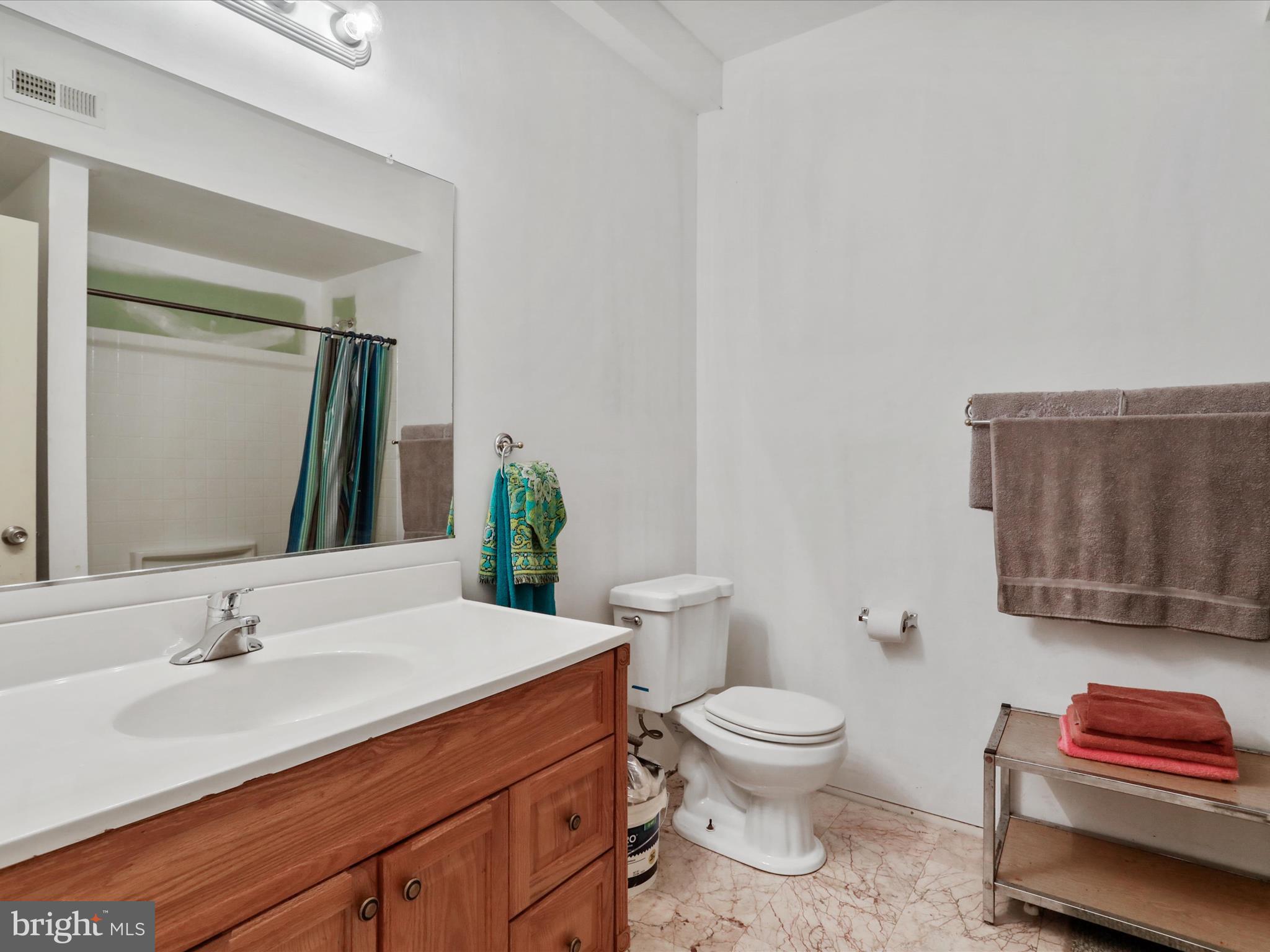525 Rolling Rock Road Star Tannery, VA 22654 - Photo 42 of 69 a bathroom with a toilet a sink and a mirror