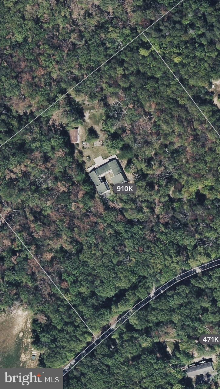 525 Rolling Rock Road Star Tannery, VA 22654 - Photo 5 of 69 10 Acres