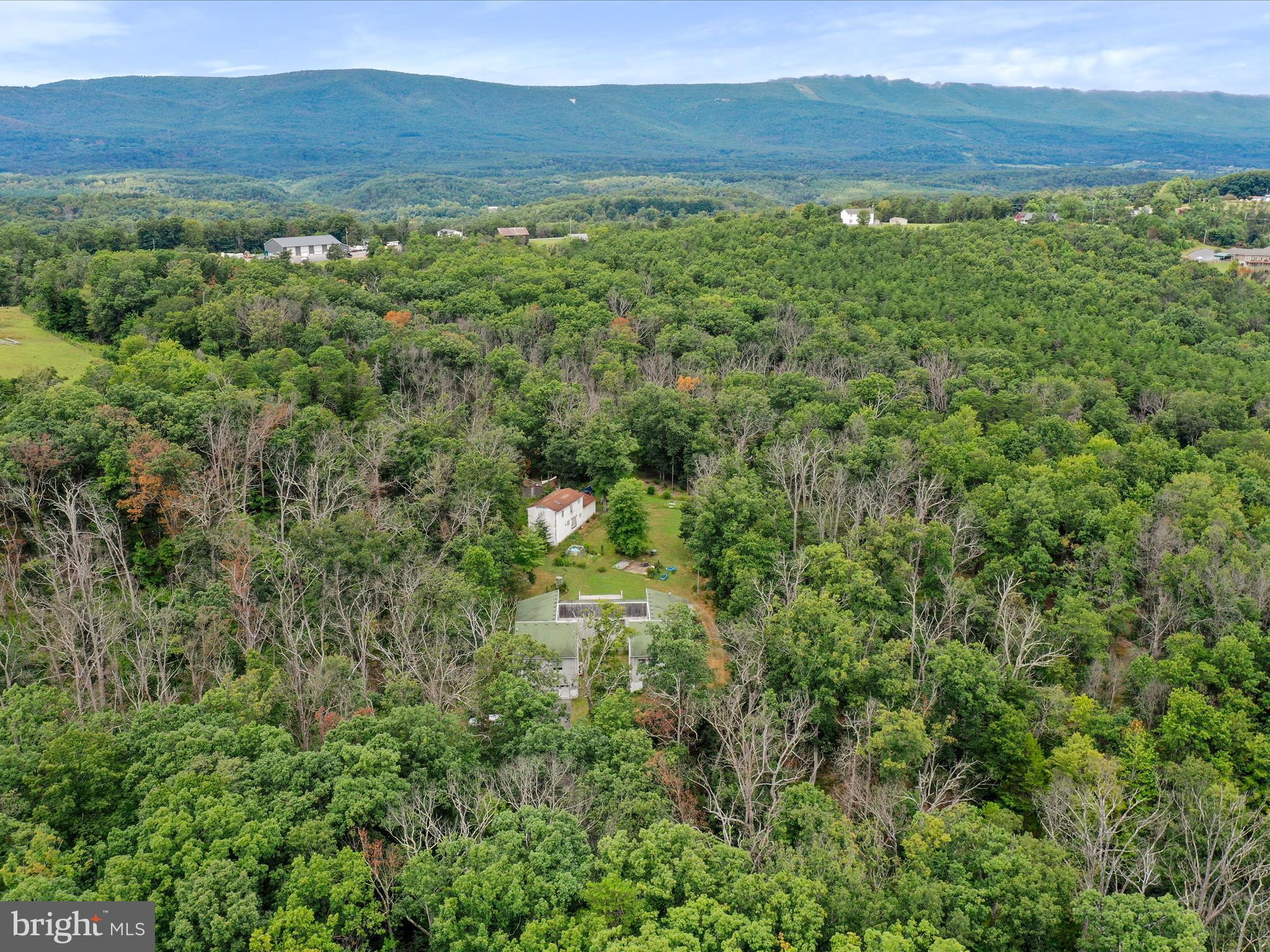 525 Rolling Rock Road Star Tannery, VA 22654 - Photo 55 of 69 a view of a lush green forest with lush green forest
