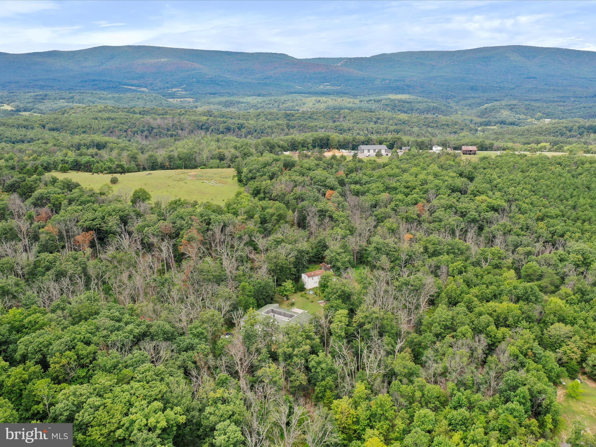 525 Rolling Rock Road Star Tannery, VA 22654 - Photo 57 of 69 a view of a lush green hillside and a houses