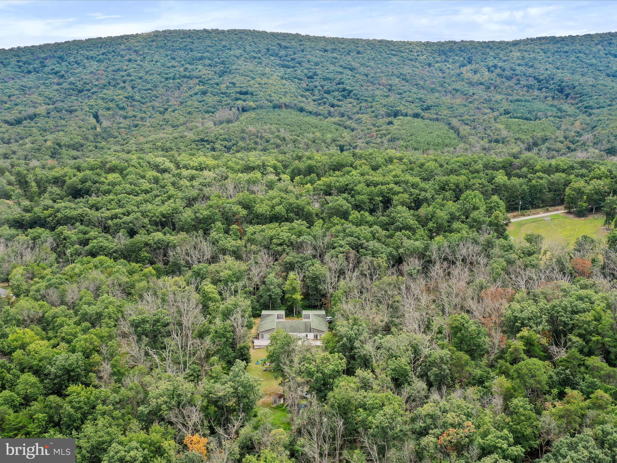 525 Rolling Rock Road Star Tannery, VA 22654 - Photo 63 of 69 a view of a lush green forest with trees and some houses