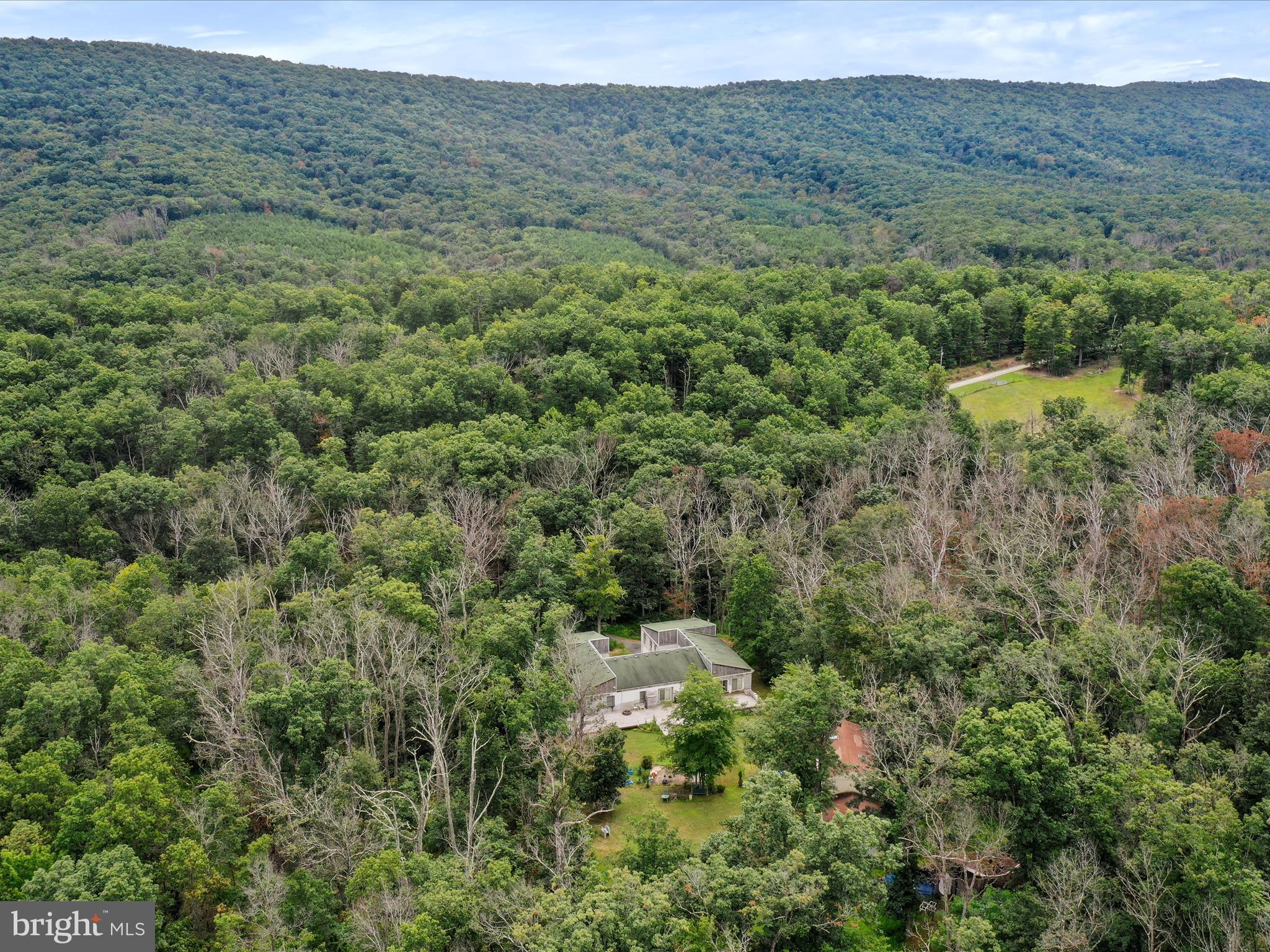 525 Rolling Rock Road Star Tannery, VA 22654 - Photo 66 of 69 a view of a forest with a street