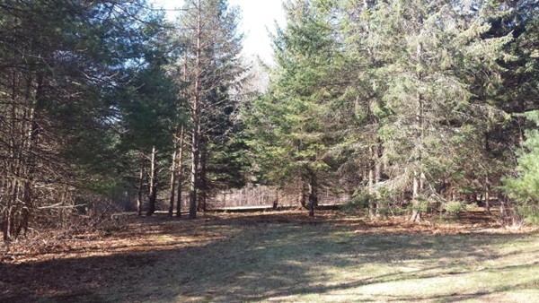 29 Pineswamp Road Ipswich, MA 01938 - Photo 2 of 7 Gallery Image 2
