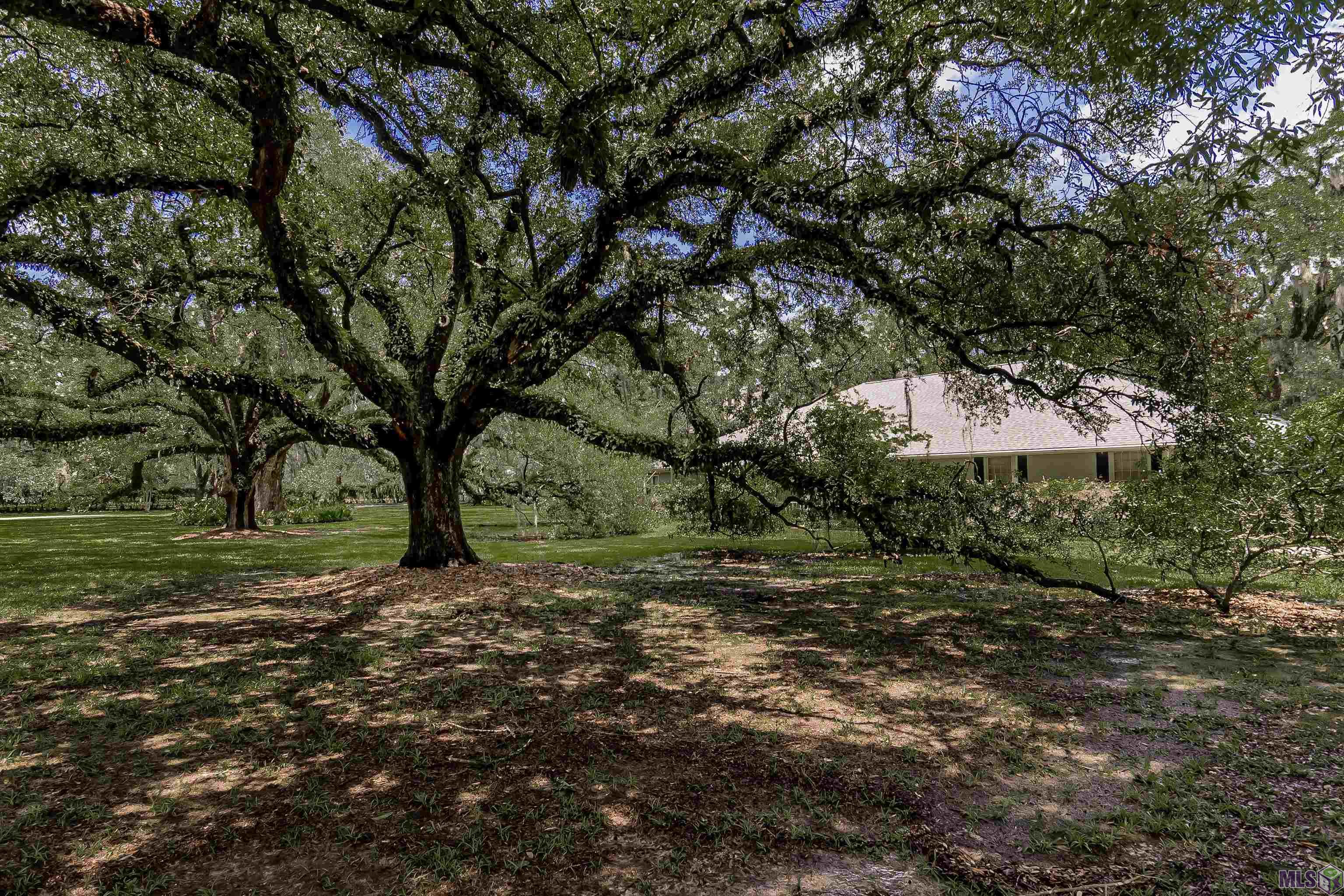 13138 Joor Road Baton Rouge, LA 70818 - Photo 3 of 33