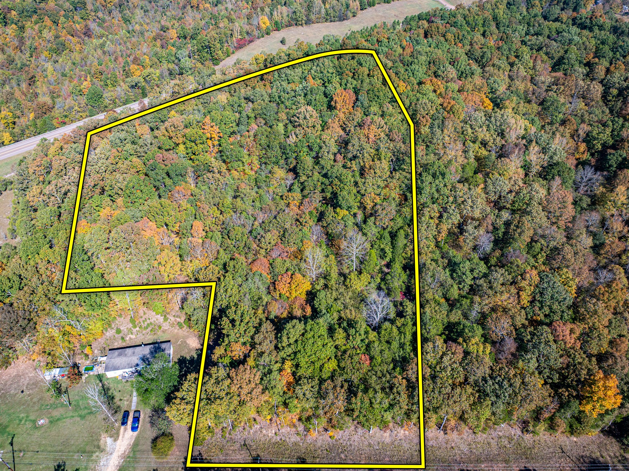 0 Highway 128 Clifton, TN 38425 - Photo 1 of 12 a view of a yard with a tree