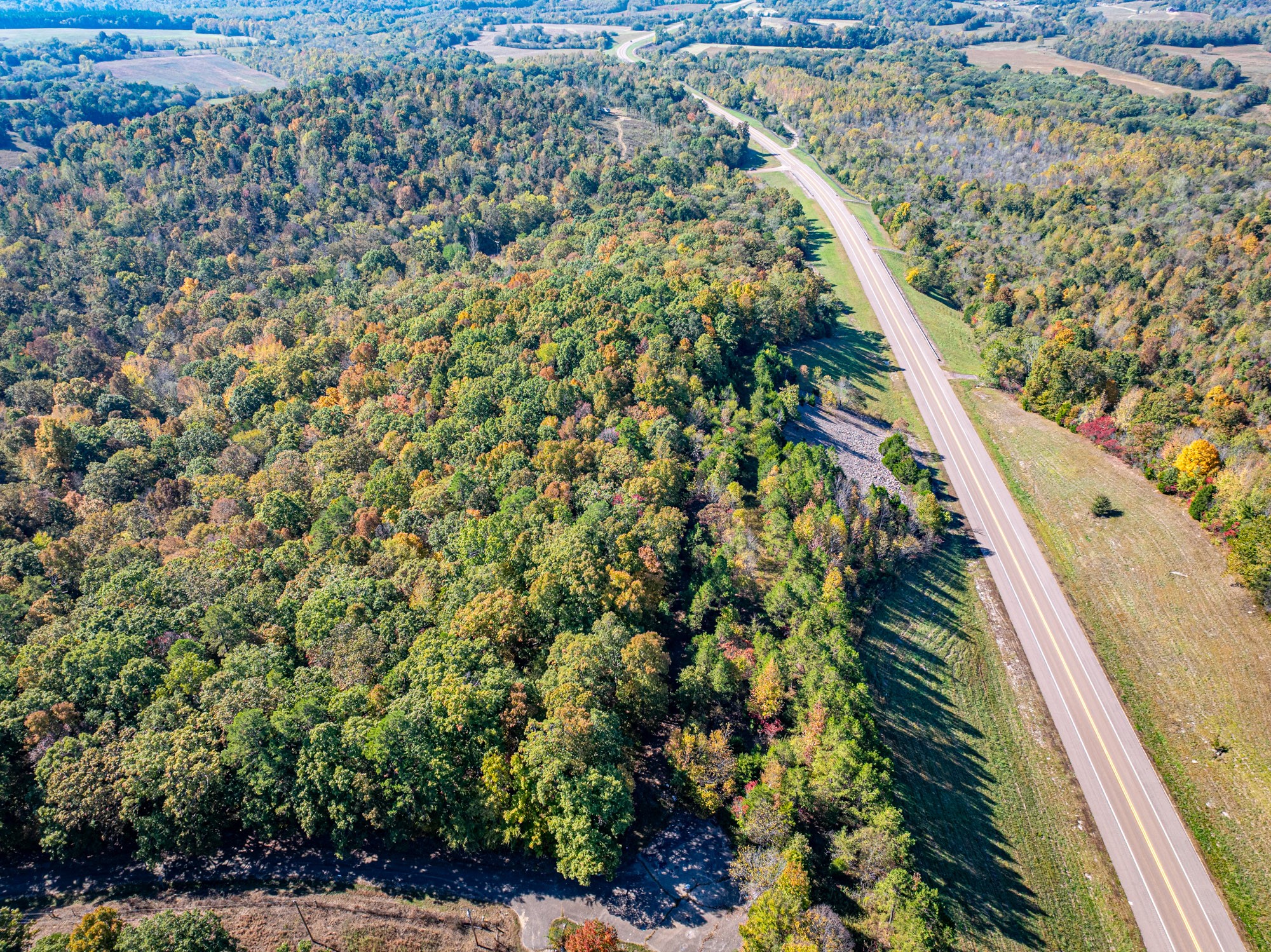 0 Highway 128 Clifton, TN 38425 - Photo 8 of 12 a view of a garden