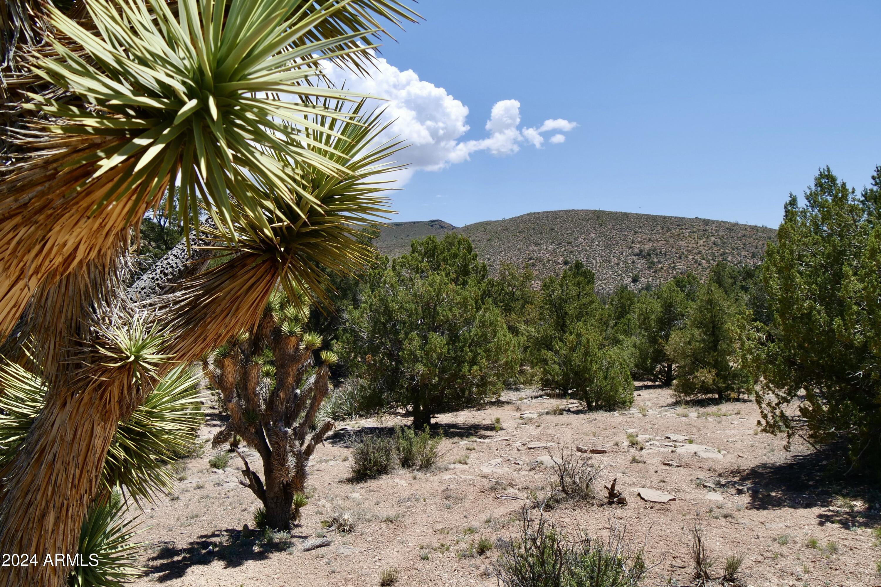 Xxxxx East Diamond Bar Road East Meadview, AZ 86444 - Photo 8 of 12 tempImage1LSSpO