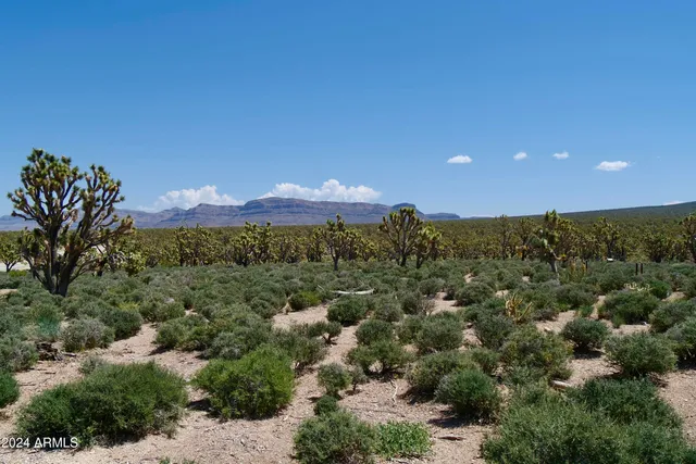 $1,875,000 | Xxxxx East Diamond Bar Road East, Meadview, AZ 86444