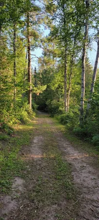 $749,000 | 5713 Crane Lake Road, Buyck, MN 55771