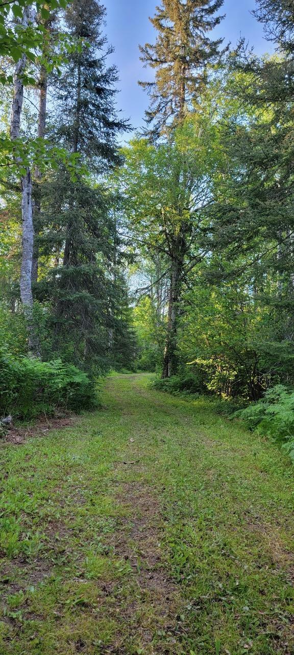 5713 Crane Lake Road Buyck, MN 55771 - Photo 42 of 60