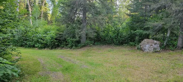 $749,000 | 5713 Crane Lake Road, Buyck, MN 55771