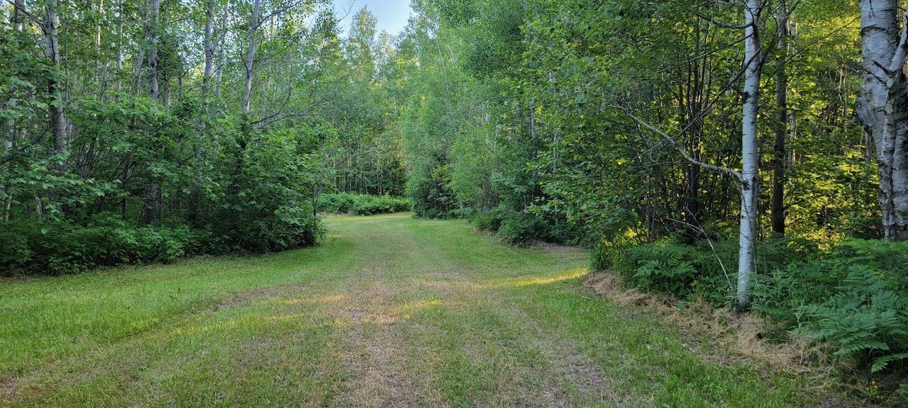 5713 Crane Lake Road Buyck, MN 55771 - Photo 44 of 60