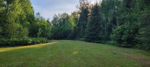 $749,000 | 5713 Crane Lake Road, Buyck, MN 55771