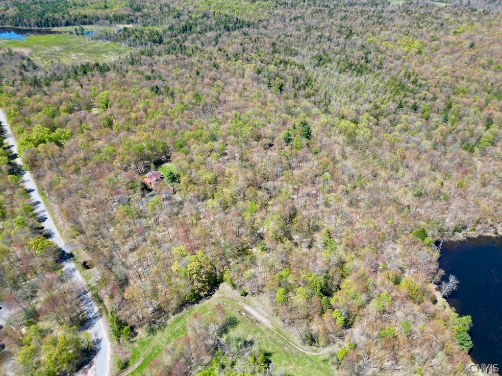 0 North Hillsborough Road Camden, NY 13316 - Photo 11 of 16