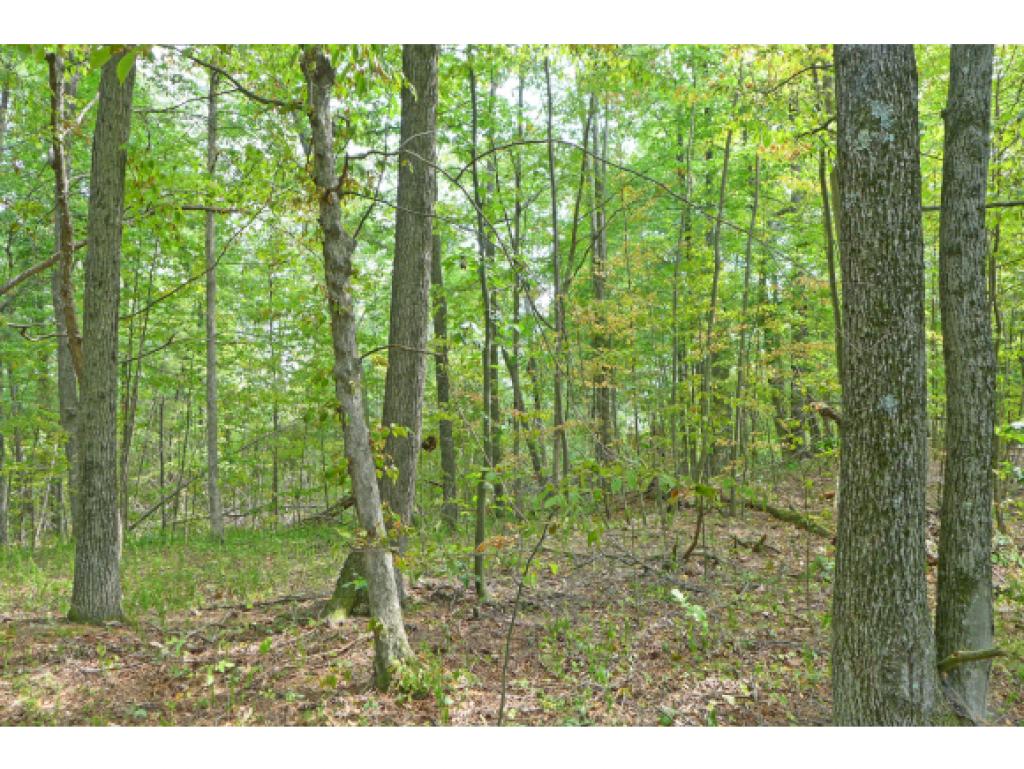775 Inman Pond Road Fair Haven, VT 05743 - Photo 11 of 34 Gallery Image 11