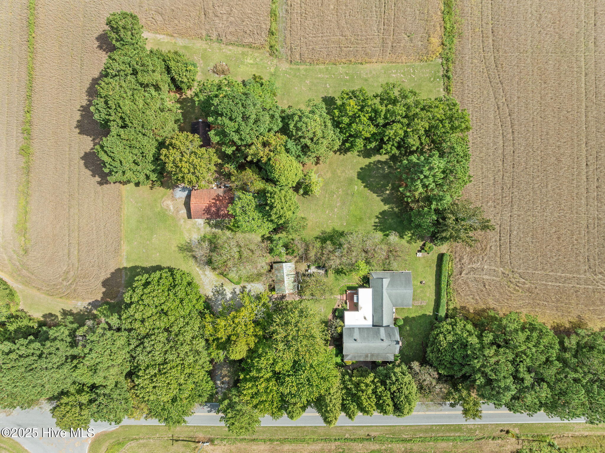 4961 Kelly Road Bath, NC 27808 - Photo 12 of 59 12-web-or-mls-DJI_0353