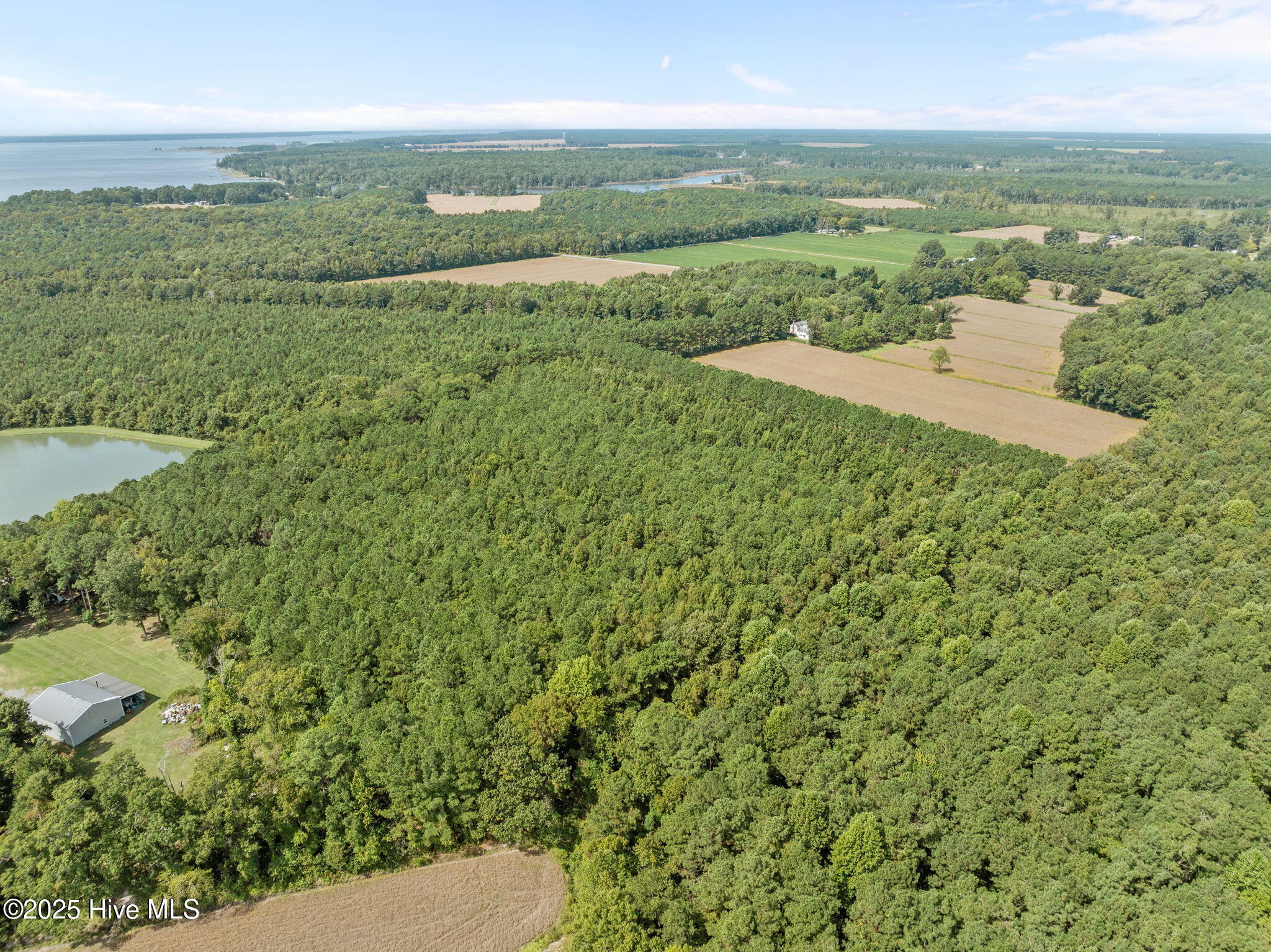 4961 Kelly Road Bath, NC 27808 - Photo 14 of 59 14-web-or-mls-DJI_0355