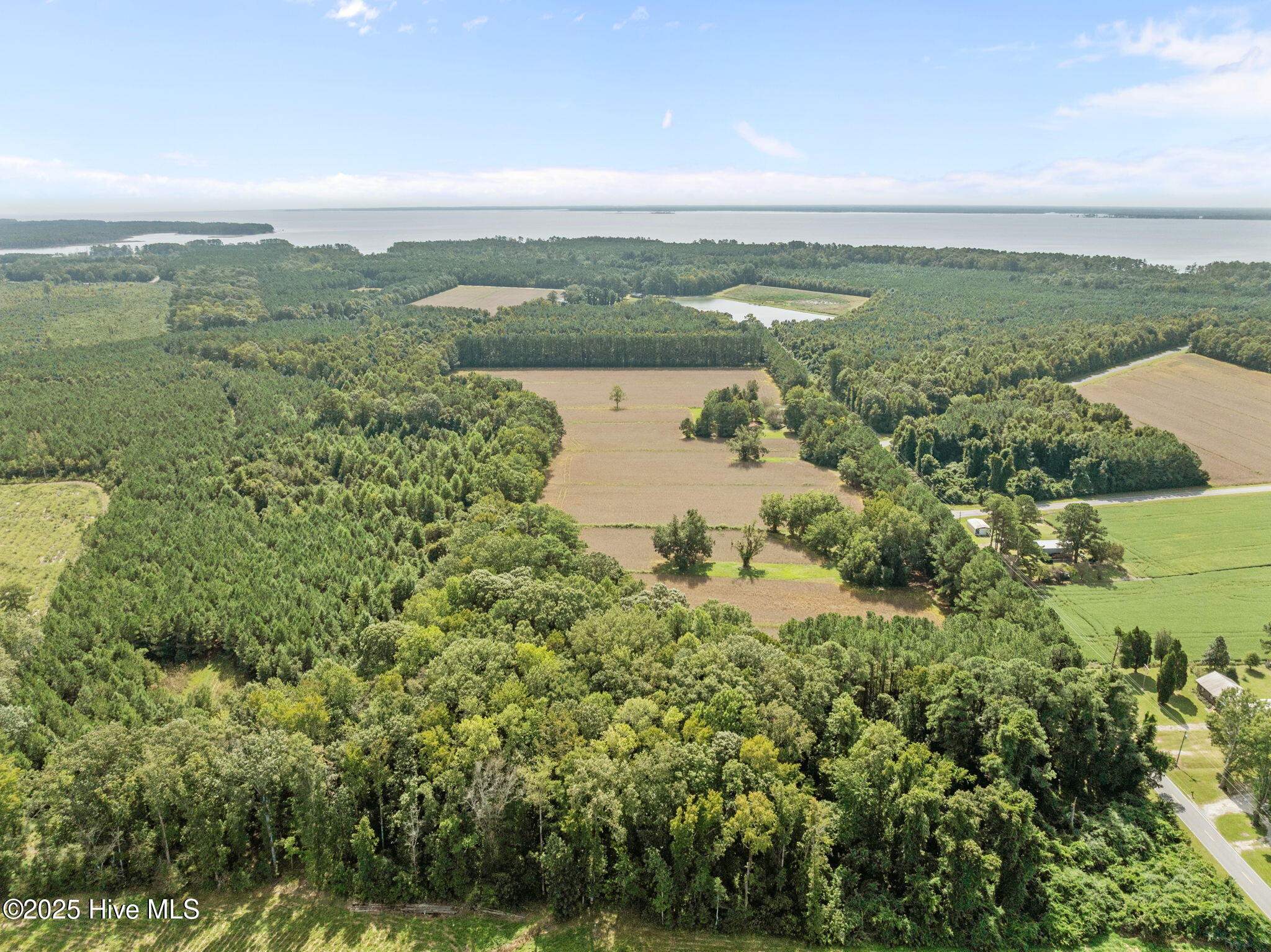 4961 Kelly Road Bath, NC 27808 - Photo 9 of 59 9-web-or-mls-DJI_0350