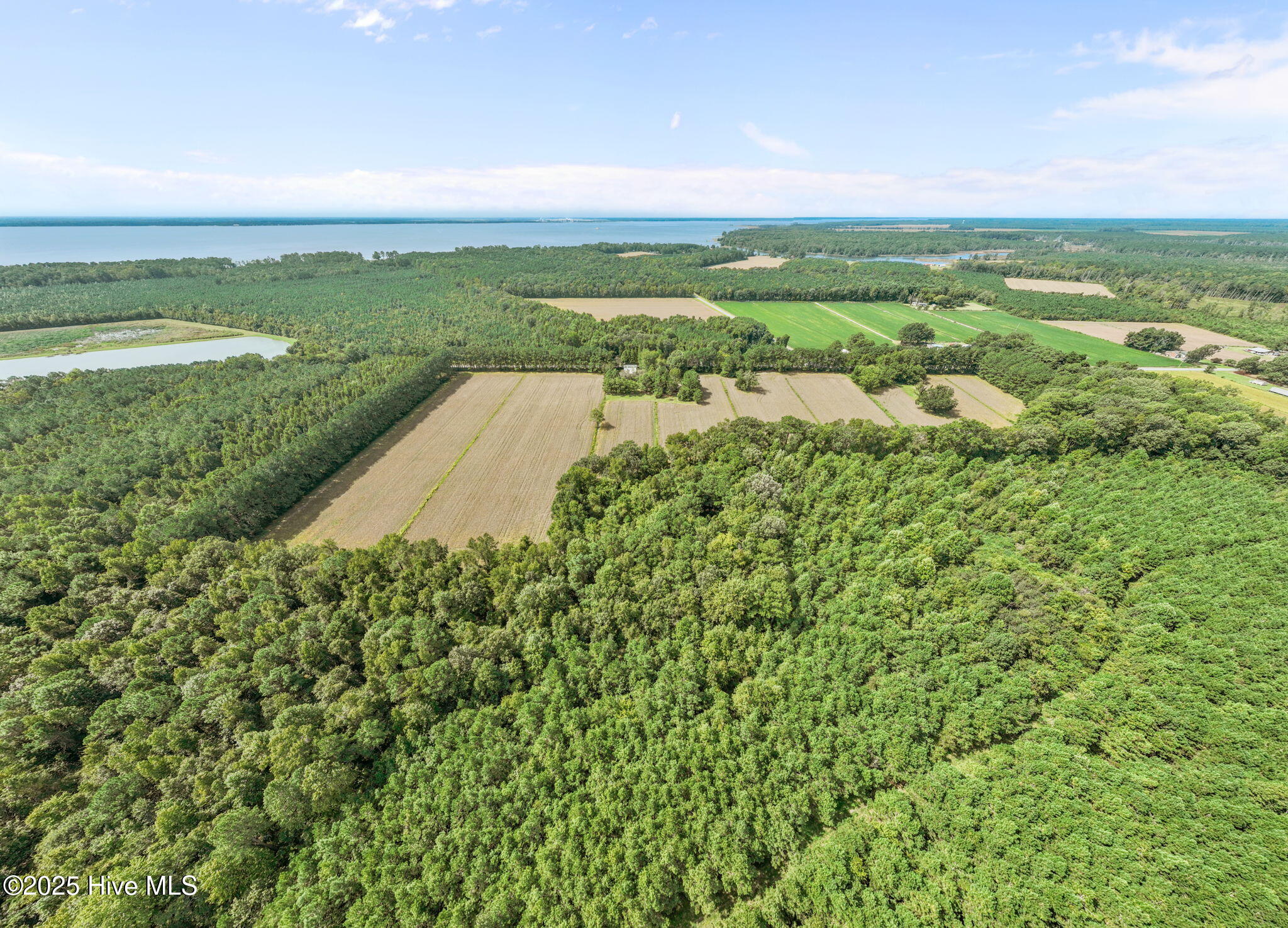 4961 Kelly Road Bath, NC 27808 - Photo 10 of 59 10-web-or-mls-DJI_0351