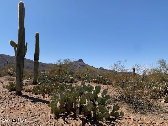 7089 West Ina Road, Unit 2 Tucson, AZ 85743 - Photo 4 of 12