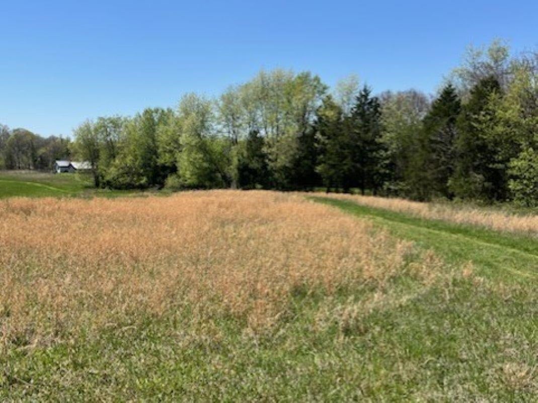 6148 Cemetery Road Scottsville, KY 42164 - Photo 1 of 1 Gallery Image 1