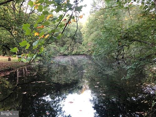 570 Corner Ketch Road Downingtown, PA 19335 - Photo 46 of 53 Pond