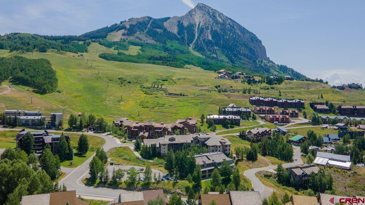 11 Hunter Hill Road, Unit 307 Crested Butte, CO 81225 - Photo 4 of 34 a view of a garden with an ocean