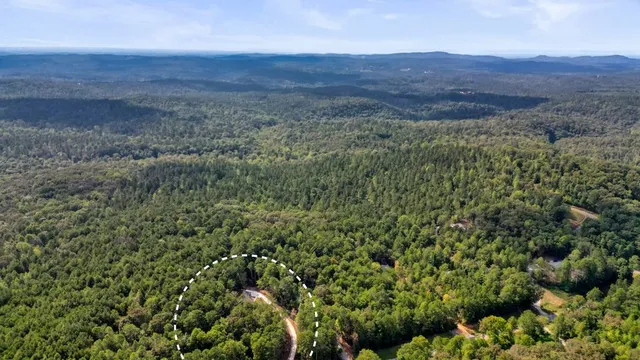 an aerial view of residential houses with outdoor space and trees