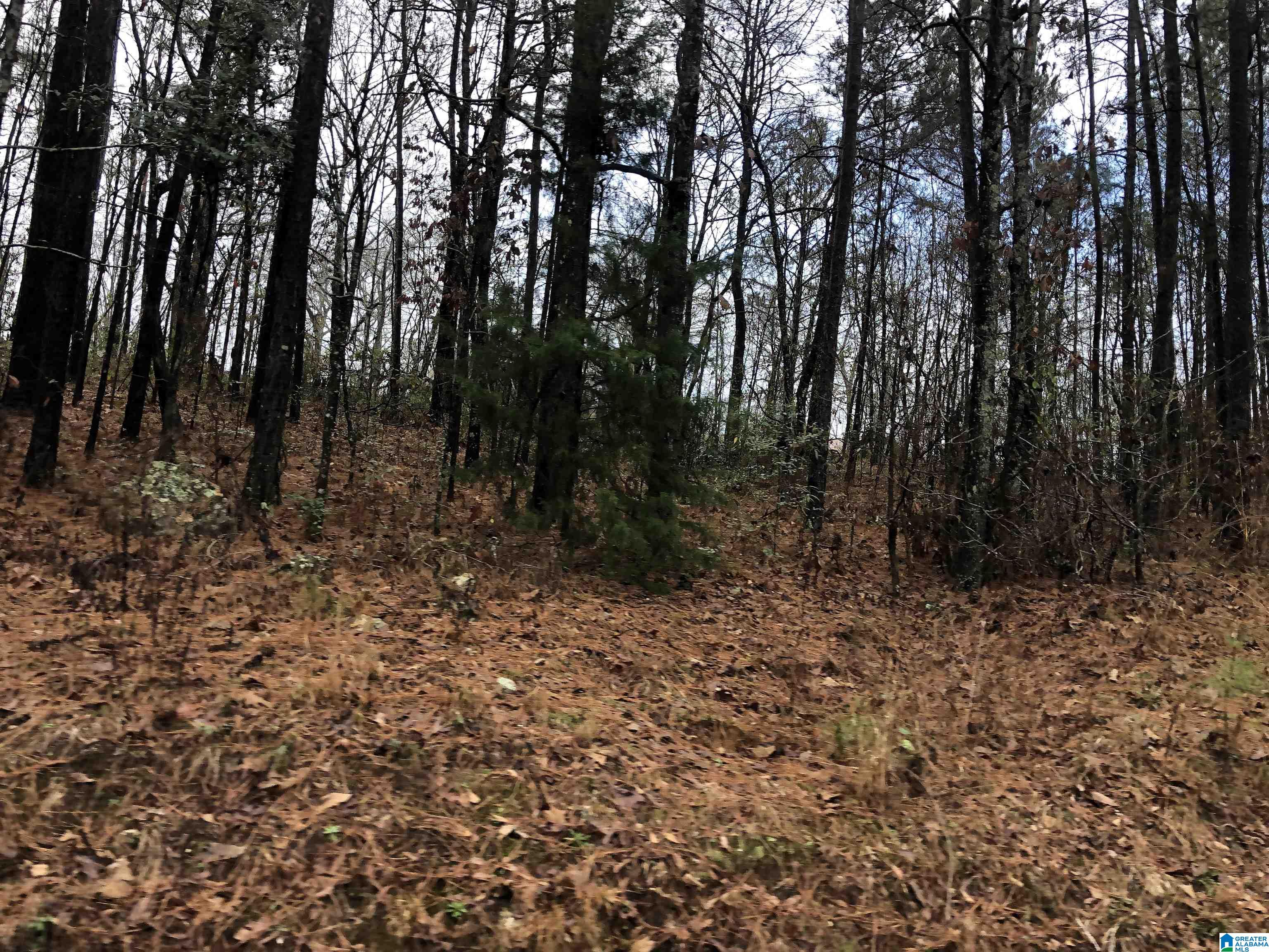0 Autumn Ridge Trail, Unit 26 Pell City, AL 35128 - Photo 29 of 31