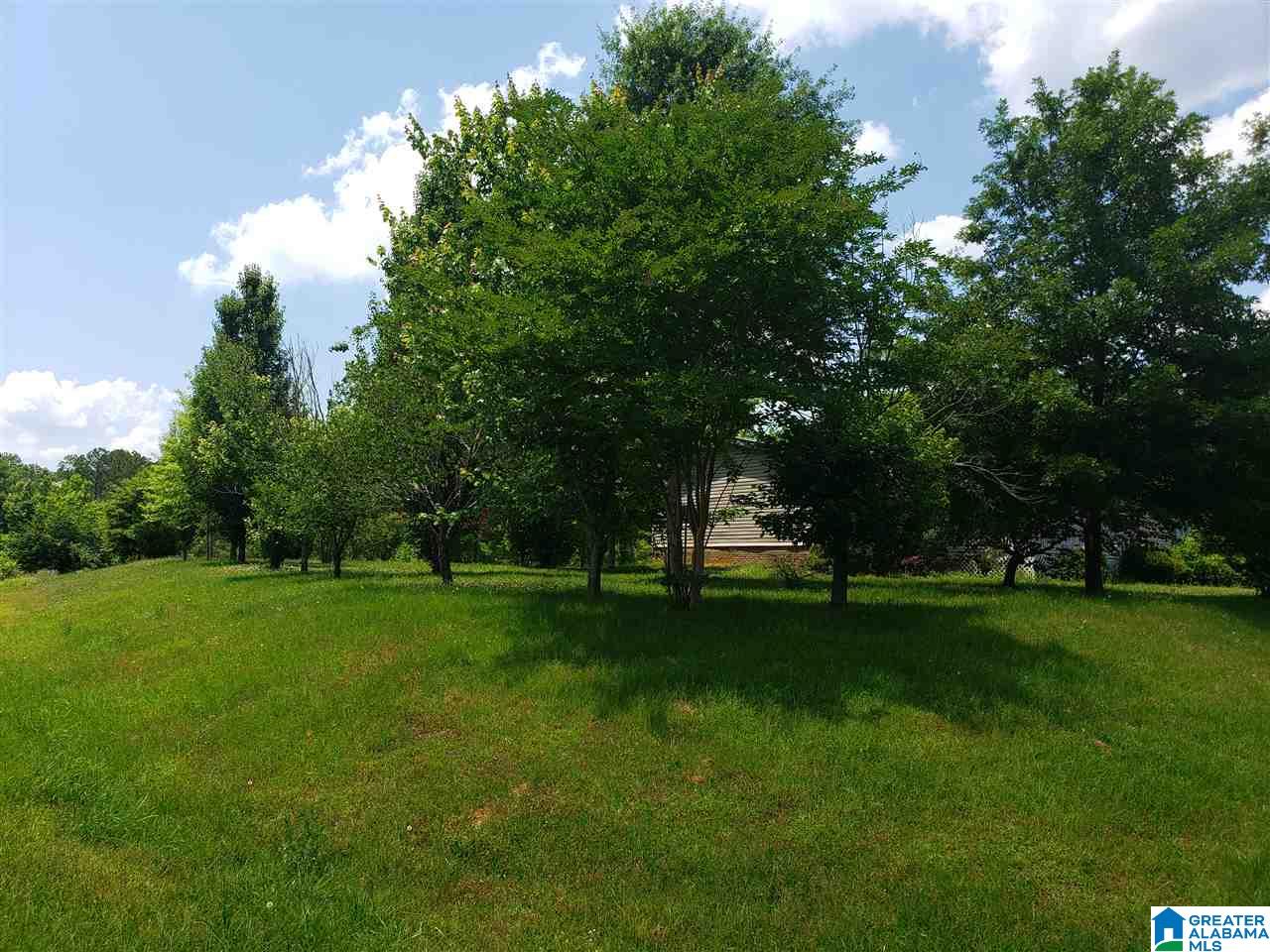 101 Whitney Circle Vincent, AL 35178 - Photo 31 of 31