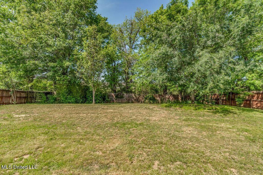 145 Bradfield Road Madison, MS 39110 - Photo 21 of 21 Backyard 145