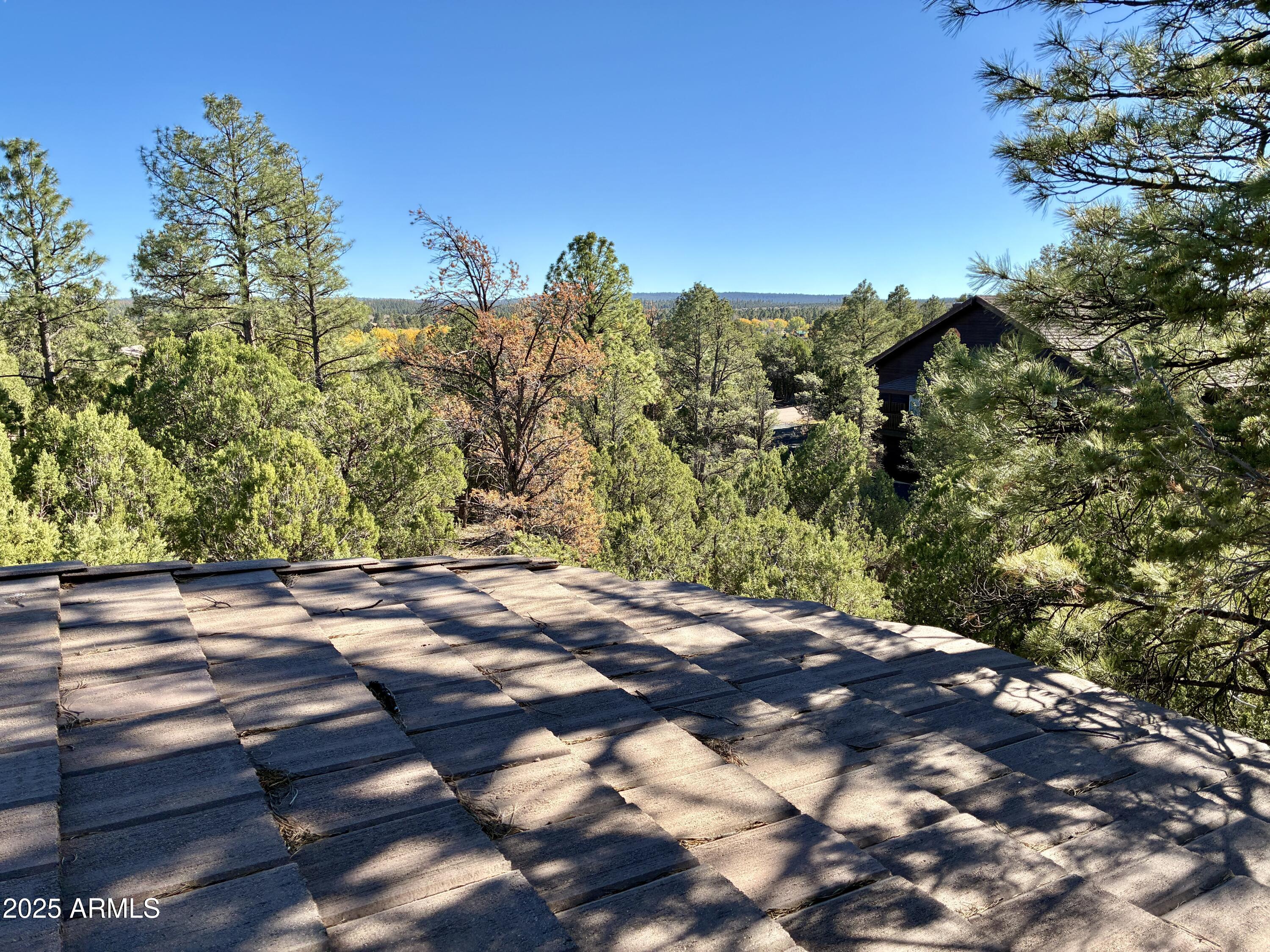 2761 Apollo Circle Overgaard, AZ 85933 - Photo 39 of 52 a view of a yard with an tree