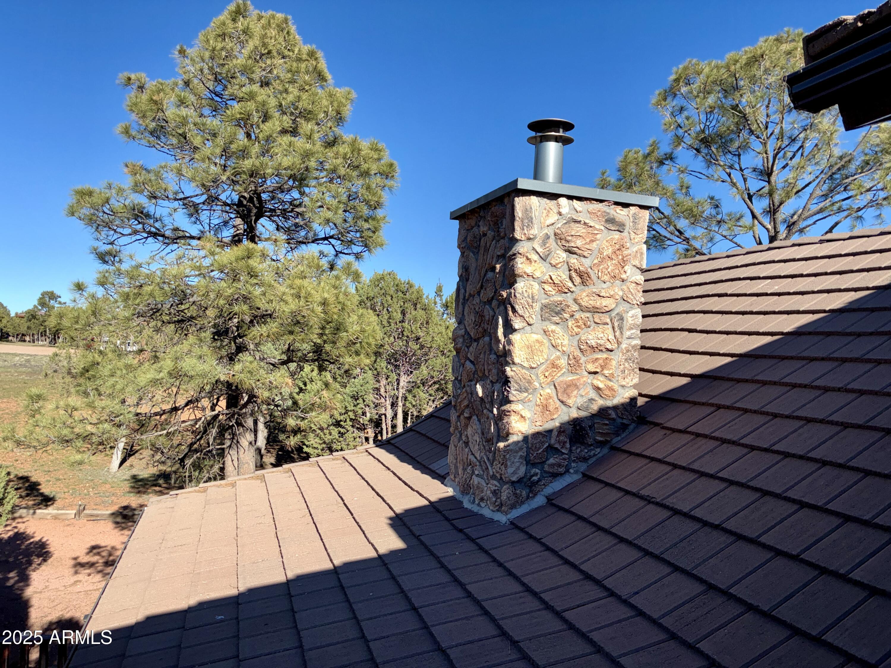 2761 Apollo Circle Overgaard, AZ 85933 - Photo 41 of 52 a vase of flowers sitting on a floor