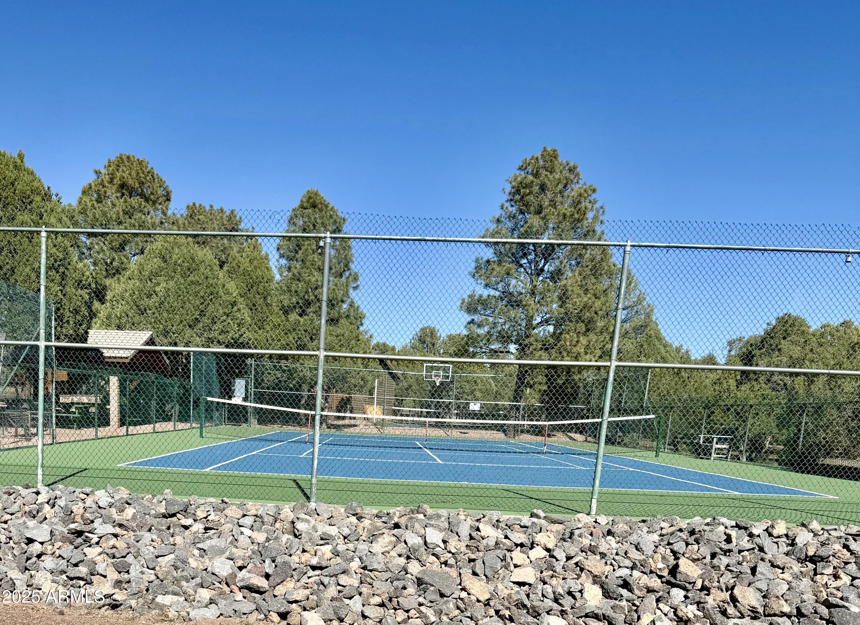 2761 Apollo Circle Overgaard, AZ 85933 - Photo 44 of 52 a view of a fence
