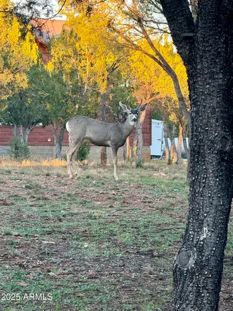 a close view of sink and tap